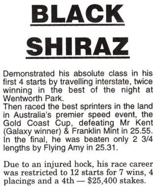 black shiraz stud 1 (2)